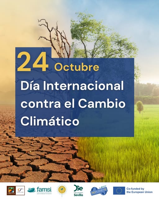 Día Internacional contra el Cambio Climático